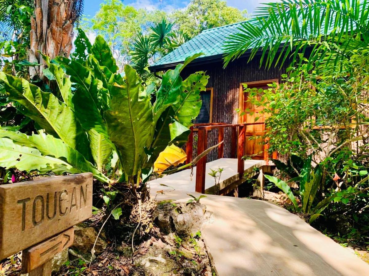 Mariposa Jungle Lodge San Ignacio Kültér fotó