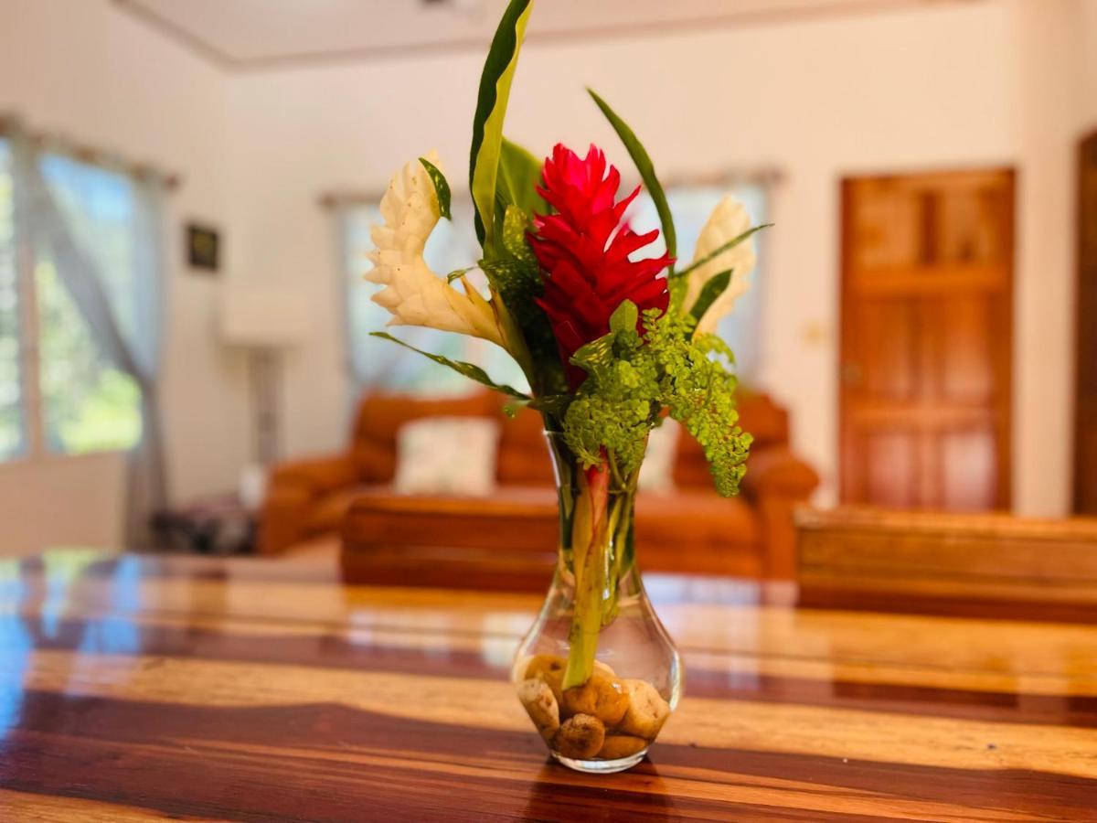 Mariposa Jungle Lodge San Ignacio Kültér fotó