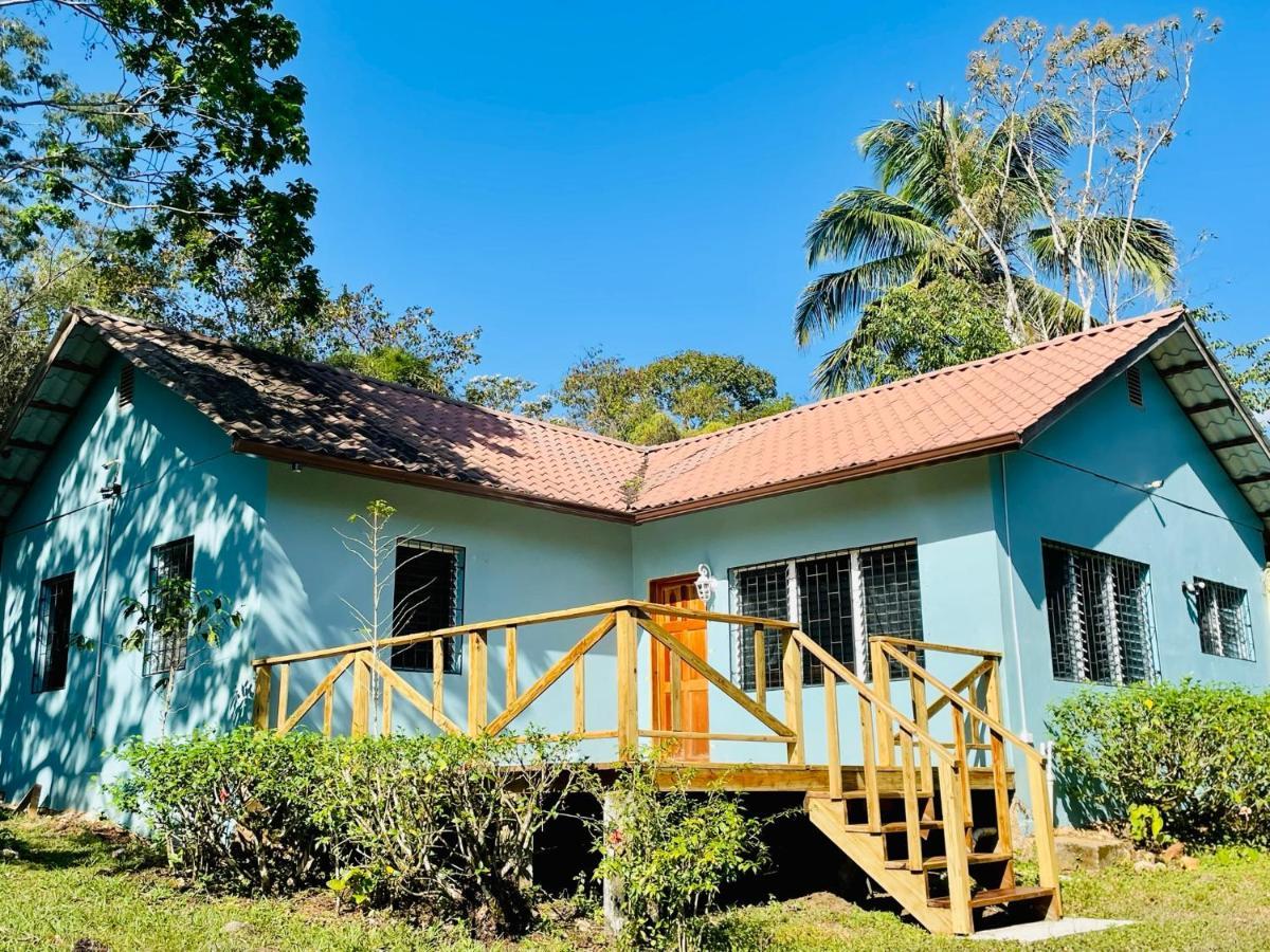 Mariposa Jungle Lodge San Ignacio Kültér fotó