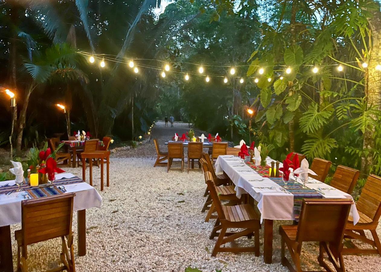 Mariposa Jungle Lodge San Ignacio Kültér fotó