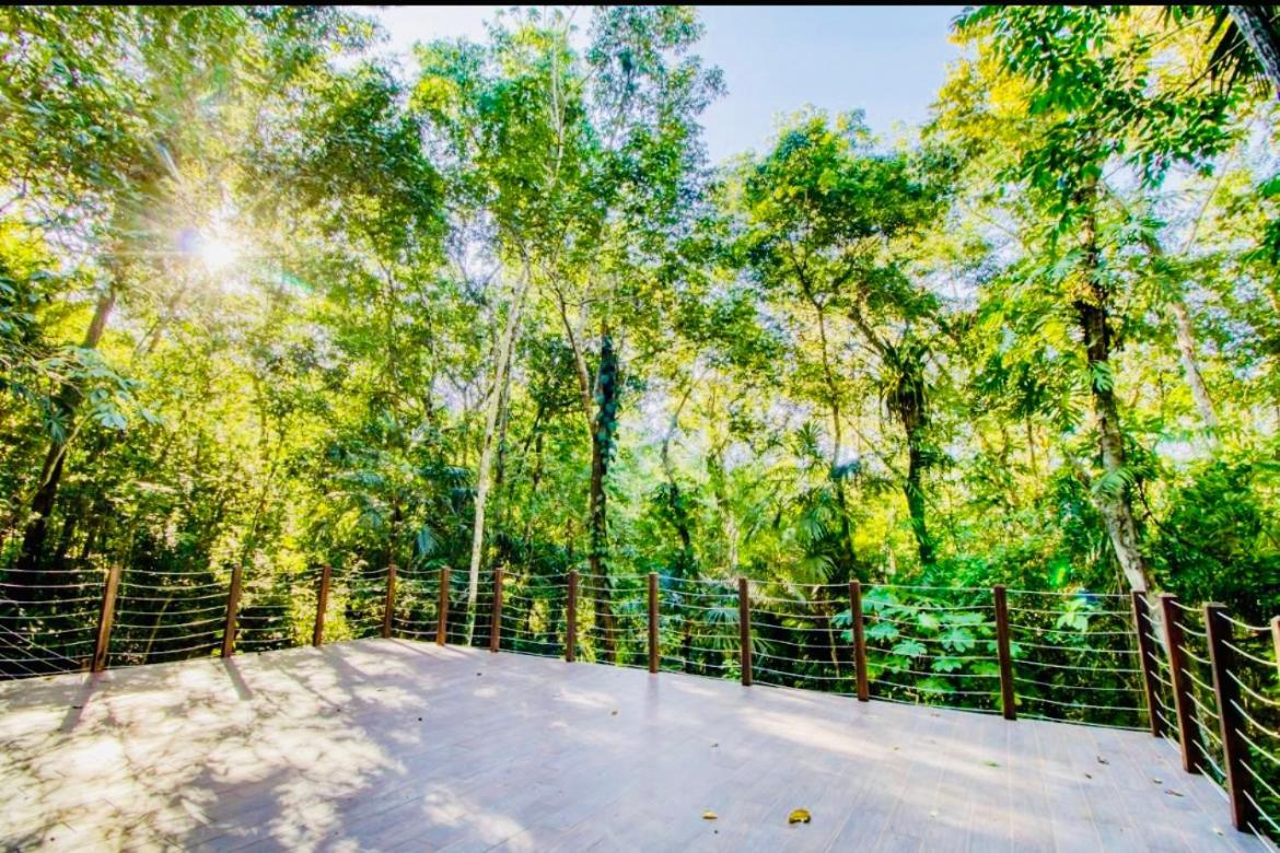 Mariposa Jungle Lodge San Ignacio Kültér fotó