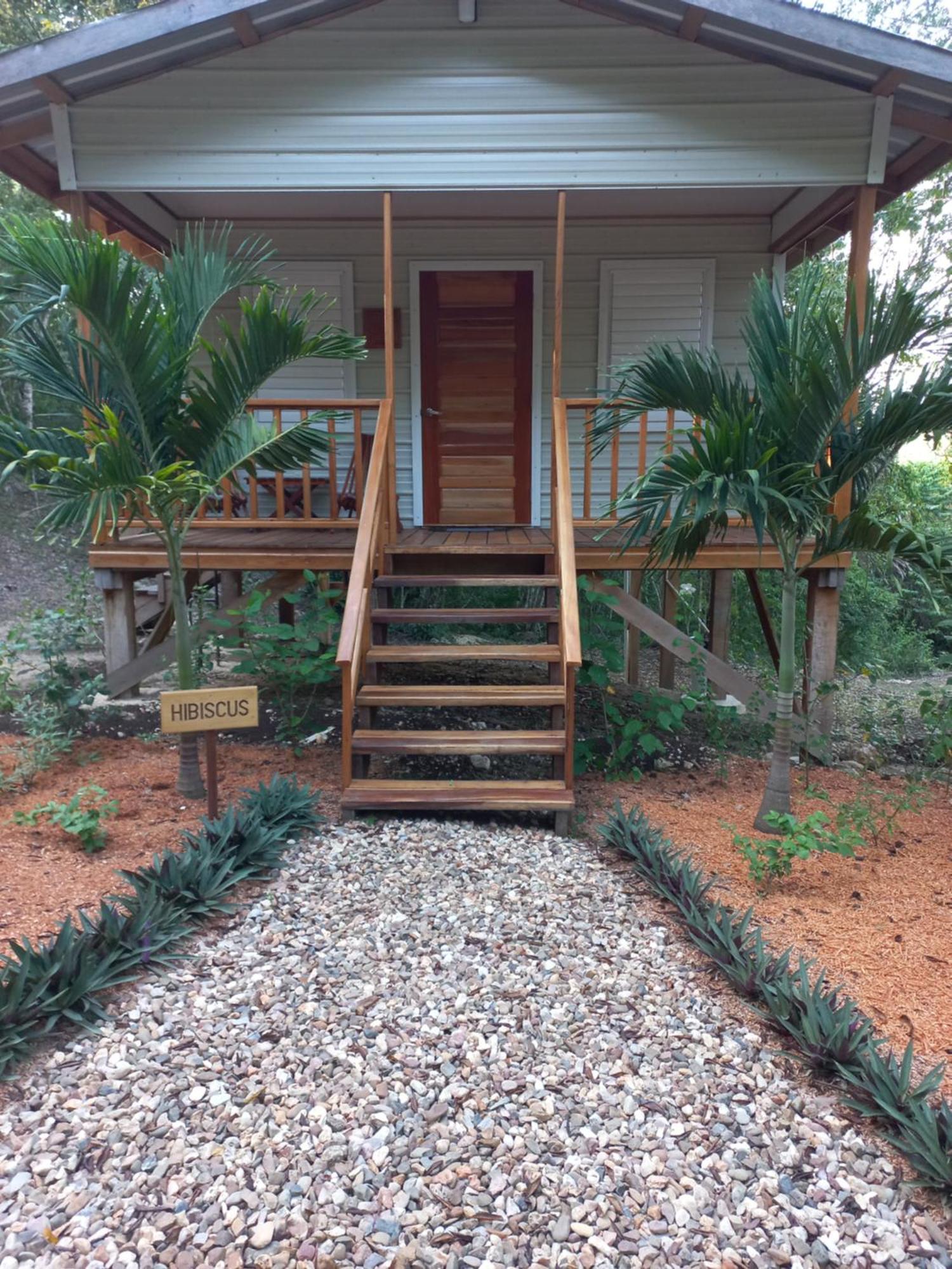 Mariposa Jungle Lodge San Ignacio Kültér fotó